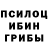 Галлюциногенные грибы Magic Shrooms V. Subaru