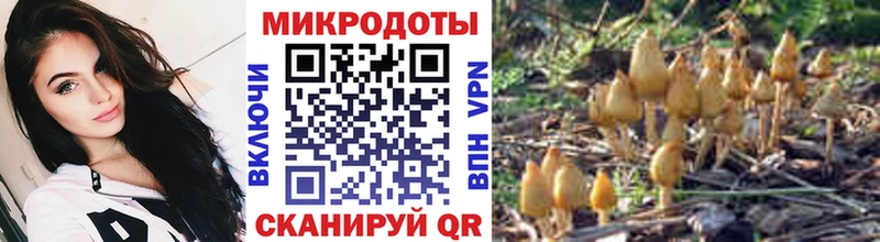 Галлюциногенные грибы GOLDEN TEACHER закладки Константиновск